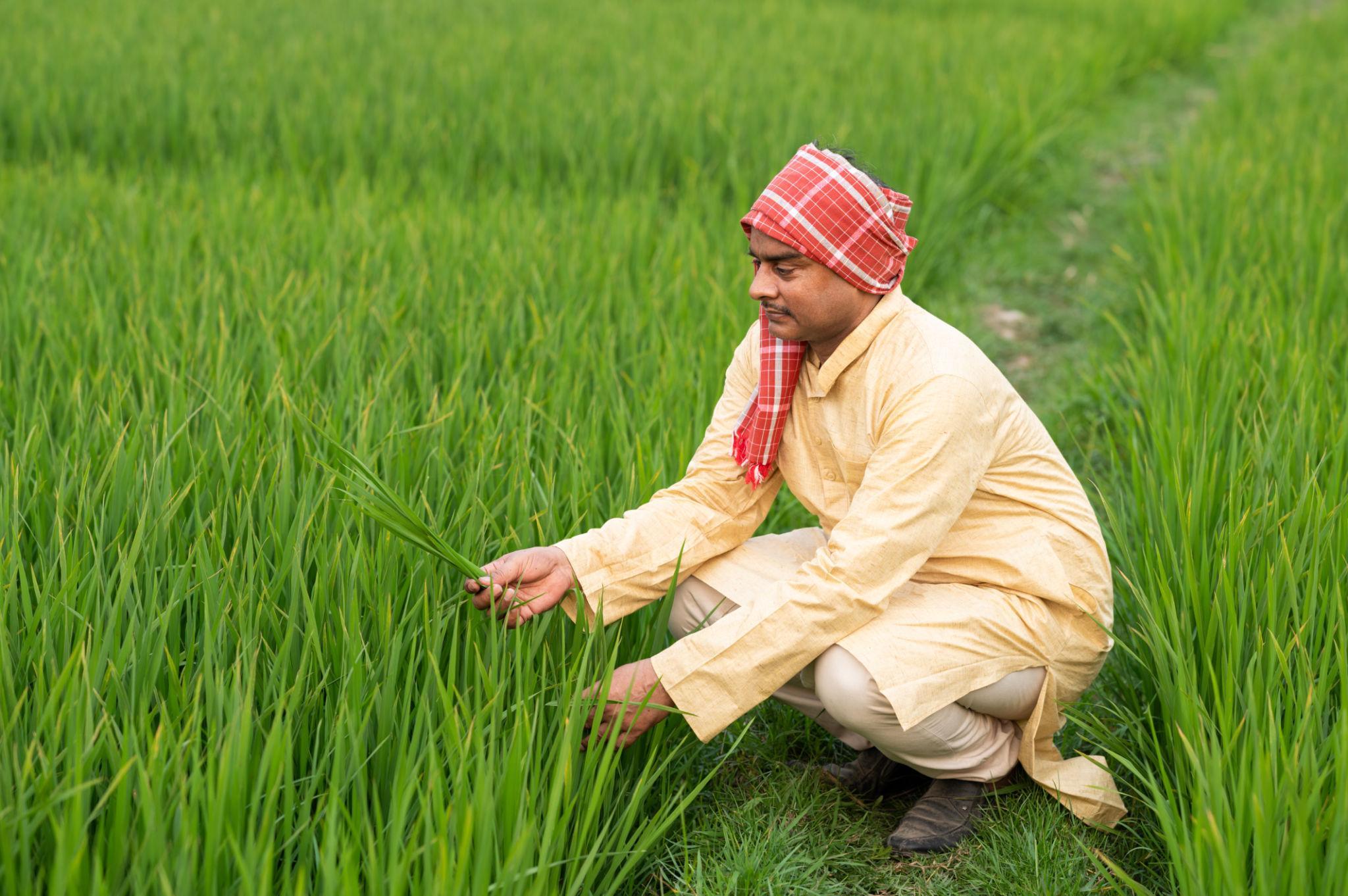 Modern Agriculture
